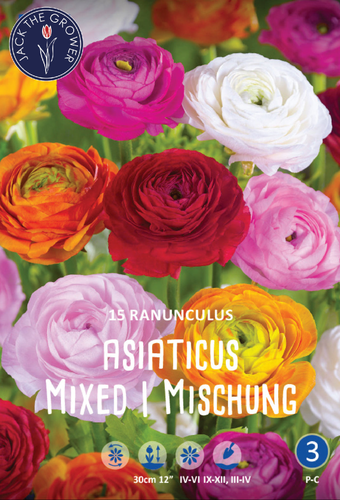 Ranunculus Asiaticus Mixed