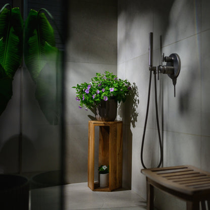 Light Bio Trial Pink Petunia Starter Plants Sets