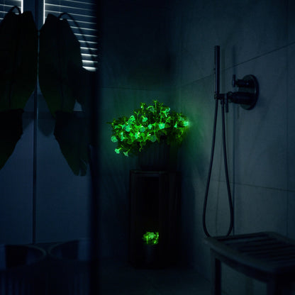 Light Bio Trial Pink Petunia Starter Plants Sets